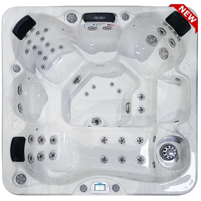 Avalon-X EC-849LX hot tubs for sale in Melbourne